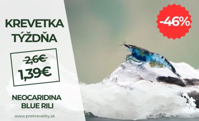 Zľava až 46% na Neocaridina Blue Rili krevety. Len tento týždeň na našom eshope