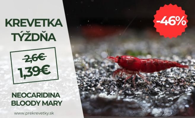 🦐🦐Krevetka týždňa teraz v 46% zľave