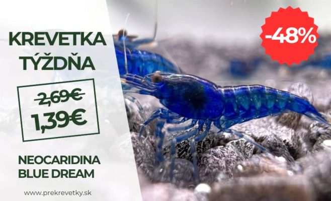 🦐🌿Top zľava 48% na najkrajšie krevety Neocaridina Blue Dream