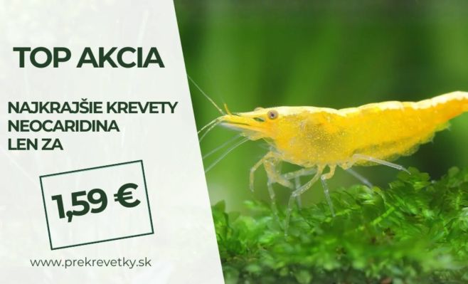 🦐🌿TOP Akcia na najkrajšie krevety z rodu Neocaridina